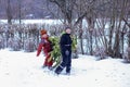 Two brothers carry a pine tree for the birth night. Two boys chose a tree to setting up a Christmas tree