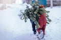 Two brothers carry a pine tree for the birth night. Two boys chose a tree to setting up a Christmas tree.