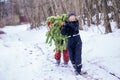 Two brothers carry a pine tree for the birth night. Two boys chose a tree to setting up a Christmas tree.