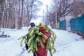 Two brothers carry a pine tree for the birth night. Two boys chose a tree to setting up a Christmas tree.