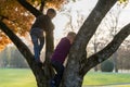 Two brothers climbing an autumn tree outdoors in a park