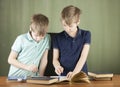 Two brothers doing homework at the desk