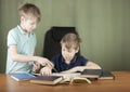 Two brothers doing homework at the desk