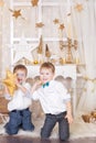 Two brothers in a gold Christmas decorations