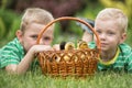 Two brothers playing on the lawn with young ducklings. Royalty Free Stock Photo