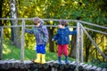 Two brothers sibling boy child crossing little wooden bridge in Royalty Free Stock Photo