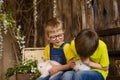 Two brothers sitting on wooden, having fun playing with rabbits Royalty Free Stock Photo