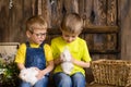 two brothers sitting on wooden porch, having fun playing with rabbits Royalty Free Stock Photo