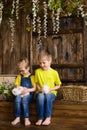 Two brothers sitting on wooden, having fun playing with rabbits Royalty Free Stock Photo