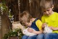 two brothers sitting on wooden porch, having playing with rabbits Royalty Free Stock Photo