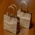 Two Brown Bags