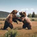 Two brown bears fighting in a grassy field. Generative AI image.