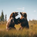 Two brown bears fighting in a grassy field. Generative AI image.