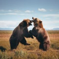 Two brown bears fighting in a grassy field. Generative AI image.