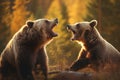 Two brown bears standing together in a forest. Suitable for wildlife or nature concepts Royalty Free Stock Photo