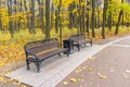 Two brown benches along footpath in the public park against trees with yellow leaves. Autumn landscape Royalty Free Stock Photo