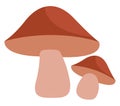 Two brown boletus mushrooms, icon icon