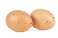 Two brown chicken egg isolated on white background Royalty Free Stock Photo