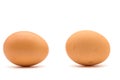 Two detailed Brown chicken eggs isolated on a white background Royalty Free Stock Photo