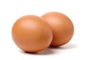 Two brown chicken eggs isolated on white background Royalty Free Stock Photo