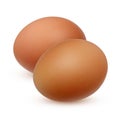 Two chicken eggs isolated on white background. Royalty Free Stock Photo