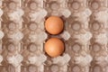 Two brown chicken eggs in paper tray Royalty Free Stock Photo