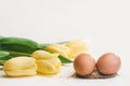 Two brown chicken eggs and yellow tulips on a white background Royalty Free Stock Photo