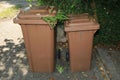 two brown composting bins, German recycling system