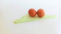 Two brown egg on a white background Royalty Free Stock Photo