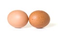 Two Brown Eggs Royalty Free Stock Photo
