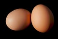 Two brown eggs on black Royalty Free Stock Photo