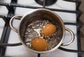 Two brown eggs are boiling in a small pot on a white cooker at the kitchen.