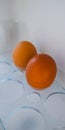 Two Brown Eggs in Refrigerator Egg Holder Tray Royalty Free Stock Photo