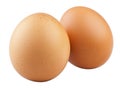 Two brown eggs sit next to each other on a white background Royalty Free Stock Photo