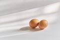 Two brown eggs on a white background Royalty Free Stock Photo