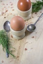 Two brown eggs in wooden pots with spoons and dill Royalty Free Stock Photo