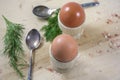 Two brown eggs in wooden pots with spoons and fennel Royalty Free Stock Photo