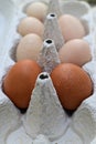 Brown and white eggs in an egg carton Royalty Free Stock Photo