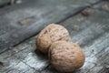 Two nuts on a table Royalty Free Stock Photo