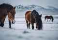 two brown horses are walking across the snow covered landscape of a hilly landscape Royalty Free Stock Photo