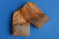 Two brown old used tea bag on blue background Royalty Free Stock Photo