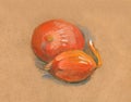 Two brown onions. Oil pastel on craft Royalty Free Stock Photo
