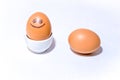 Two brown orange chicken eggs on white background. One egg with positive face smiling in an egg stand. Royalty Free Stock Photo