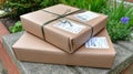 Two brown packages are placed on a stone surface surrounded by green plants during daylight hours Royalty Free Stock Photo
