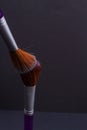 Two brown professional make up brushes on black background. Royalty Free Stock Photo