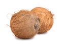 Two brown ripe coconut Royalty Free Stock Photo
