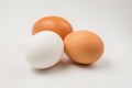 Two brown and single white chicken eggs. Royalty Free Stock Photo