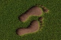 Two brown soil footprint shape symbols cutout from grass background, ecology, environment or carbon footprint concept, flat lay