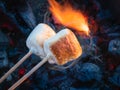 Two brown sweet marshmallows roasting over fire flames. Marshmallow on skewers roasted on charcoals Royalty Free Stock Photo