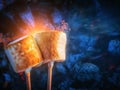 Two brown sweet marshmallows roasting over fire flames. Marshmallow on skewers roasted on charcoals. Sweet love concept Royalty Free Stock Photo